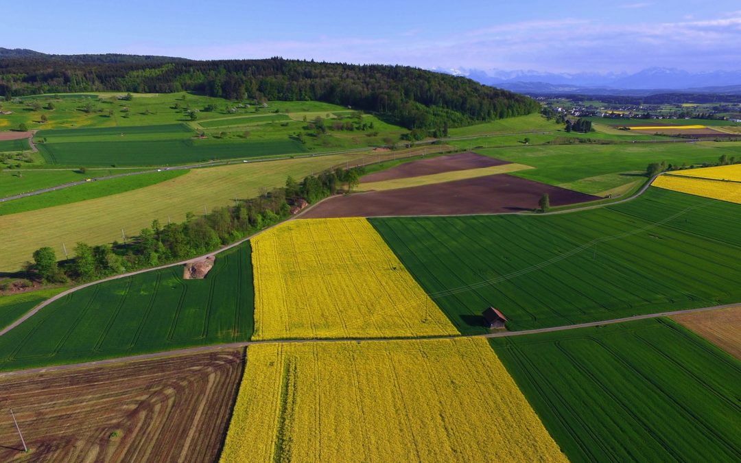 La résilience de notre système alimentaire : menaces et solutions du terrain