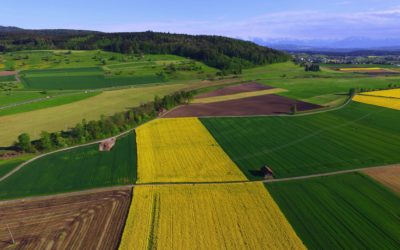 Matthieu Calame : Peut-on avoir une agriculture écologique dans une société qui n’est pas écologique ?