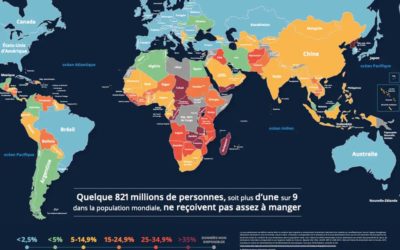 De quoi avons-nous vraiment besoin ? La satisfaction des besoins fondamentaux de tous dans la théorie politique contemporaine et la doctrine sociale de l’Eglise