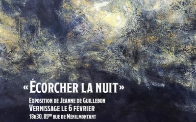 Nouvelle exposition : Écorcher la nuit, de Jeanne de Guillebon